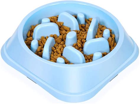 The Best Dog Puzzle Food Bowl - Make Life Easy