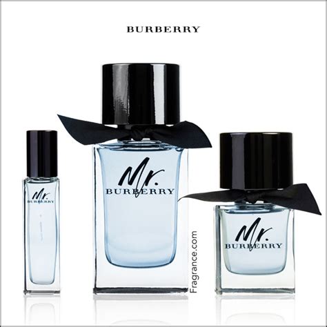 Mr. Burberry Cologne Review | Eau Talk - The Official FragranceNet.com Blog