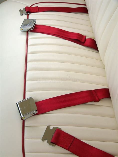 Car safety belt stock photo. Image of belt, safetybelt - 233510