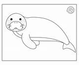 Printable Manatee Coloring Page  Kids Activities Blog sketch template