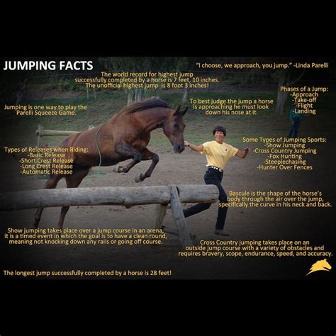 Jumping Facts!