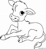 22 Free Printable Calf Coloring Pages sketch template