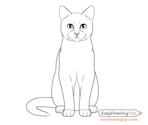 How to Draw a Cat Step by Step From Front View - EasyDrawingTips | Como ...