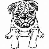 Happy English Bulldog Puppy Coloring Page · Creative Fabrica sketch template