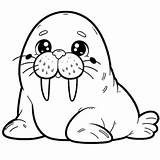 Walrus Coloring Pages  Coloring Pages Gem sketch template