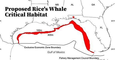 Okaloosa Commissioners object to proposed ‘critical habitat designation ...