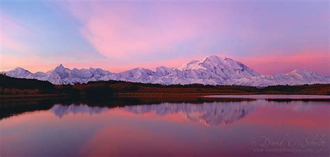 Denali Sunrise by David C. Schultz, via 500px. | Denali national park alaska, National parks