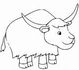 Yak Coloring Pages Printable For Free Download sketch template