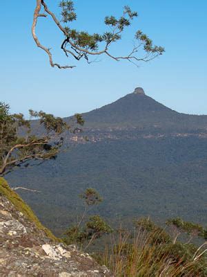 Pigeon House Mountain - Bushwalking NSW