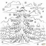 Pine Tree Coloring Pages Page  AusmalbilderFurKinderde sketch template