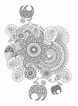 Abstract 18 Coloring Page  Free Printable Pages For Kids sketch template
