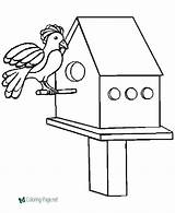 Bird House  Coloring Pages sketch template