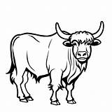 Basic Outline Of A Standing yak coloring Page sketch template