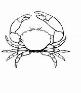 38 Best Ideas For coloring  Crab Coloring Sheet sketch template