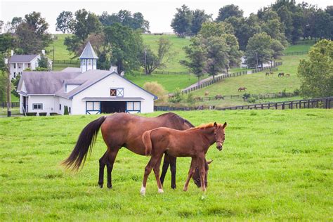 Bourbon, Horses, and National Parks: A Kentucky Road Trip | Drive The ...