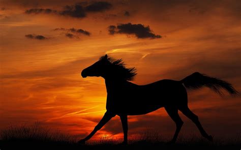 Horses At Sunset Wallpapers - Wallpaper Cave