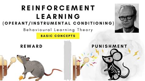 What is Operant Conditioning (Reinforcement Learning)? - YouTube