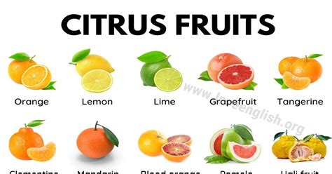 30+ Delicious Citrus Fruits You've Got to Try - Love English