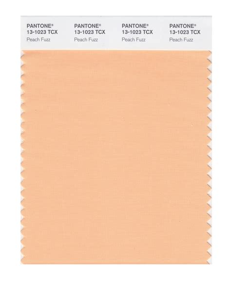 Pantone Color Of The Year 2024/2024 - Ashia Callida