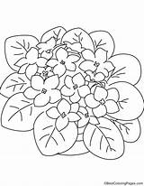 Purple Violet coloring Page  Download Free sketch template