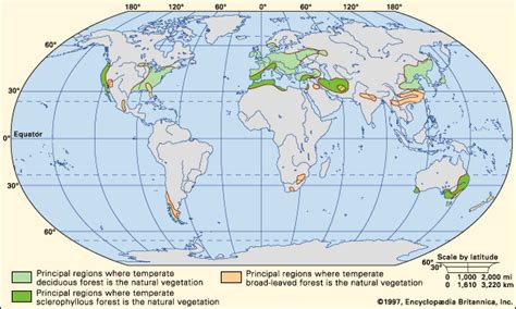 Temperate forest | Description, Types, Plants, Animals, & Facts | Britannica