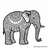 Tribal Design & Abstract Elephant Coloring Pages  Free Printable sketch template
