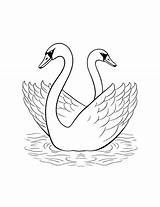 Swan coloring page sketch template