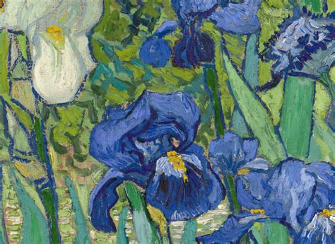 Vincent van Gogh 'Irises' (detail) 1889 - a photo on Flickriver