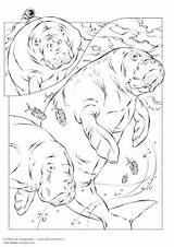 Edupics Com Coloring Pages sketch template