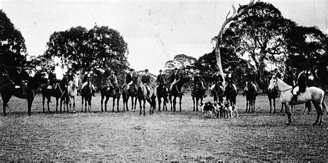 Negative - Coleraine District, Victoria, 1911