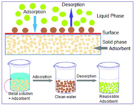 The mechanism of metal ions adsorption-desorption process in water. | Download Scientific Diagram