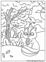 50  Chipmunk Coloring Pages Free Printable PDF JPG PNG & Online sketch template