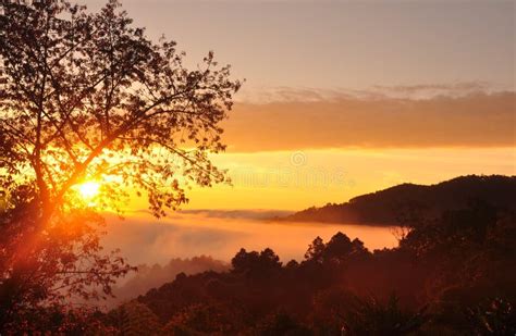 Mist and sun rise stock photo. Image of landscape, beautiful - 30591042