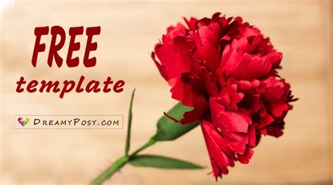 Free Carnation Flower Bouquets Pictures | Best Flower Site