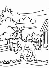Cute Cartoon Donkey Coloring Page  Free Printable Pages sketch template
