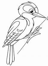 Hairy Woodpecker sketch template