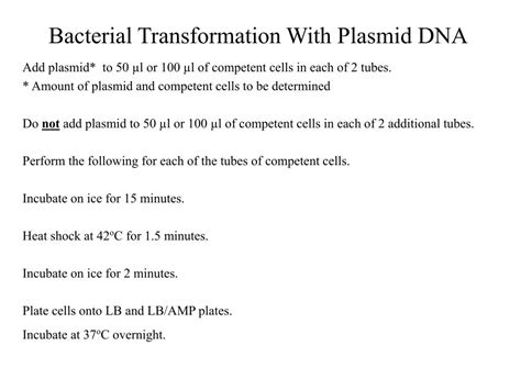 PPT - Bacterial Transformation With Plasmid DNA PowerPoint Presentation - ID:7055807