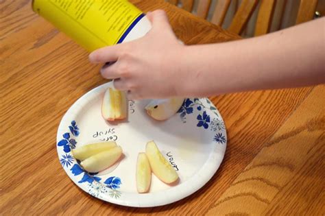 Biology Experiments | Science with Kids.com