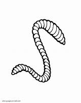 Worm Coloring Pages  Coloring Home sketch template