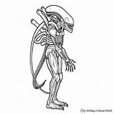 Alien Xenomorph Coloring Pages  Free & Printable sketch template