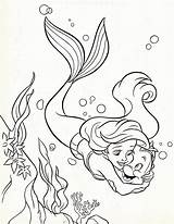 Ariel And Flounder Coloring Page  Home sketch template
