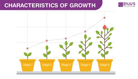 Growth and Development - Characteristics, Types, and Factors