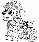 Coloriage Pat Patrouille Rex  Paw Patrol coloring Pages sketch template