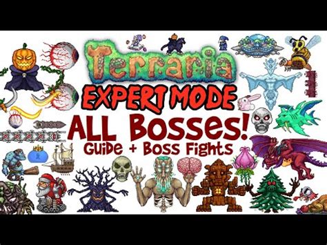 Terraria All Bosses In Order Expert Mode Guide & Fights! (Easiest to ...