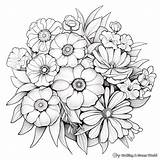 Zinnia Coloring Pages  Free & Printable sketch template