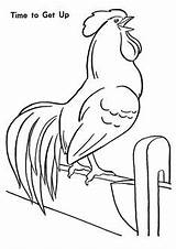 Top 10 Rooster Coloring Pages Your Toddler Will Love To Color Colouring  sketch template