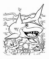 Free Printable Coloring Pages Sharks sketch template