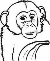 Printable Chimpanzee Coloring Page For Kids – SupplyMe sketch template