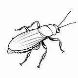 Free Cockroach Coloring Pages Simple Black And White Sheets For  sketch template