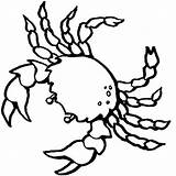 Free Printable Crab Coloring Pages For Kids sketch template